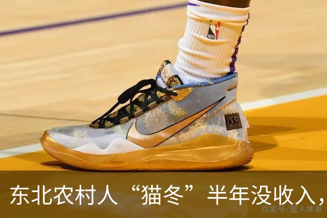 东北农村人“猫冬”半年没收入，一大家子人怎么撑下来的？