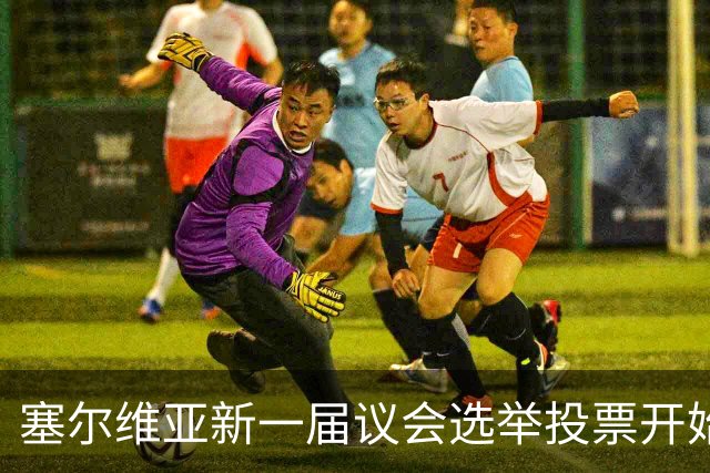 塞尔维亚新一届议会选举投票开始