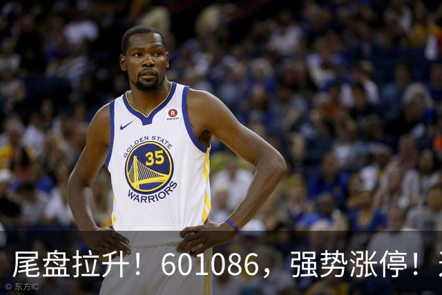 尾盘拉升！601086，强势涨停！这一板块逆市爆发