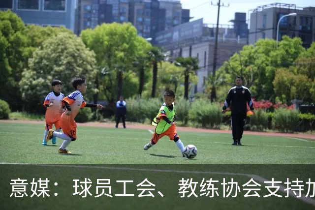 意媒：球员工会、教练协会支持加利亚尼竞选足协主席