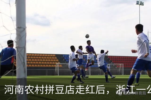 河南农村拼豆店走红后，浙江一公司免费送去442斤拼豆和自动烫画机，客服：尽绵薄之力支持店主