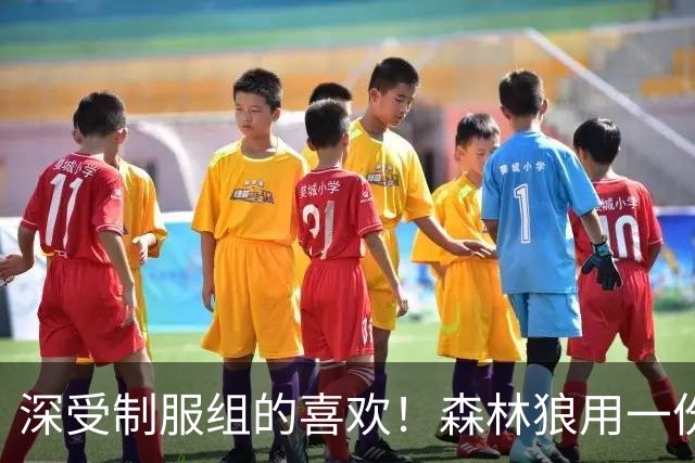 深受制服组的喜欢！森林狼用一份双向合同签回了这位锋线球员？