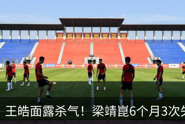 王皓面露杀气！梁靖崑6个月3次失2追3：张本智和瘫坐 高茨捂脸哭泣