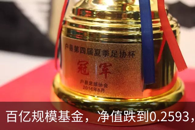 百亿规模基金，净值跌到0.2593，暴跌74%，亏得基民都不敢看账户
