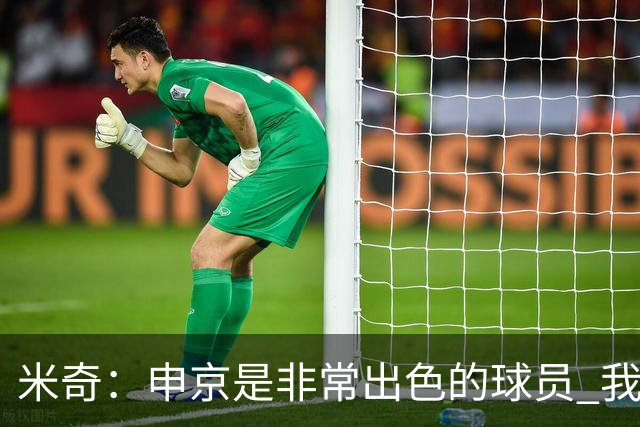 米奇：申京是非常出色的球员 我们本可以更早对他做防守布置