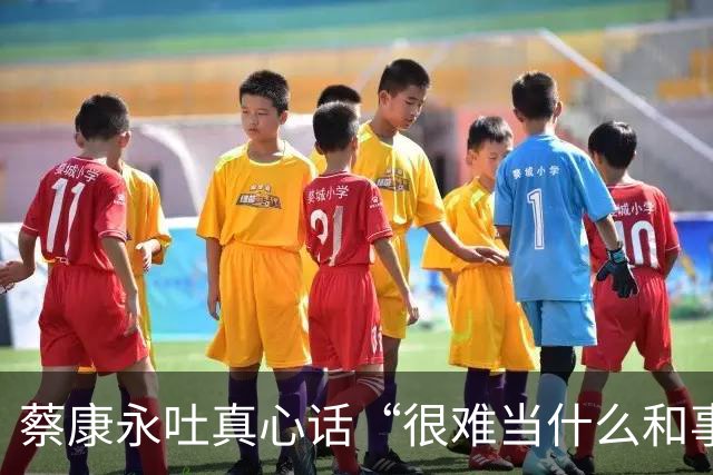 蔡康永吐真心话“很难当什么和事佬”：选举不必杀红眼