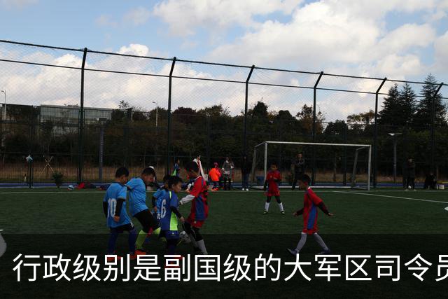 行政级别是副国级的大军区司令员，都有一个共同特点，能打仗