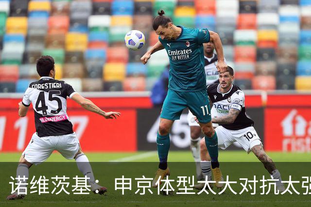 诺维茨基：申京体型太大对抗太强，马刺让他太轻松进篮下