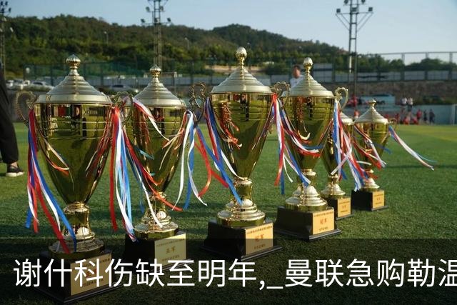 谢什科伤缺至明年, 曼联急购勒温补锋线