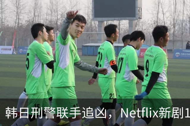 韩日刑警联手追凶，Netflix新剧11月20日上线