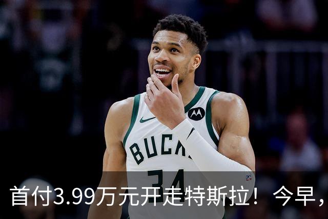 首付3.99万元开走特斯拉！今早，特斯拉推出全新方案