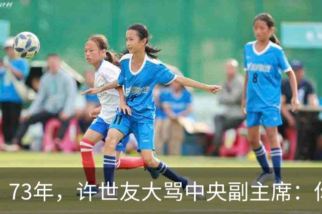 73年，许世友大骂中央副主席：你坐政治火箭行，领导军队你不行！