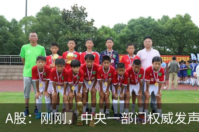 A股：刚刚，中央一部门权威发声，释放三信号！明日将迎来新变化